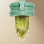 Silicone Baby Feeding Pacifier with Fruit & Vegetable Feeder – BPA-Free Teething Pouch for Babies (0–3 Years) - Image 5