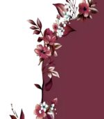Women’s Gradient Ombre Hoodie – Burgundy & White with Cherry Blossom Print | Elegant Long-Sleeve Sweatshirt for Casual All-Season Wear - Image 5